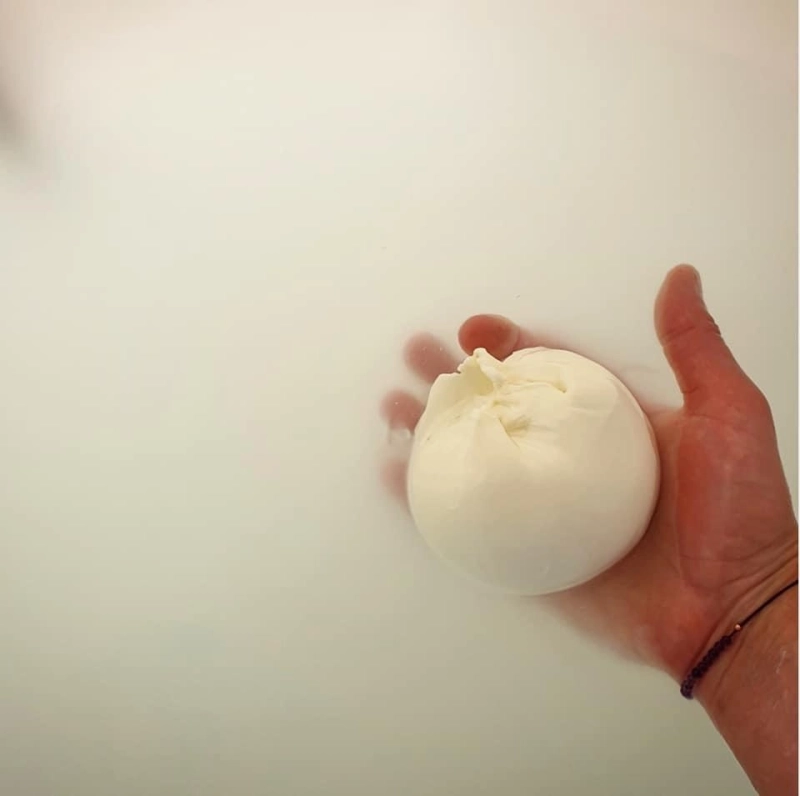 Mozzarella