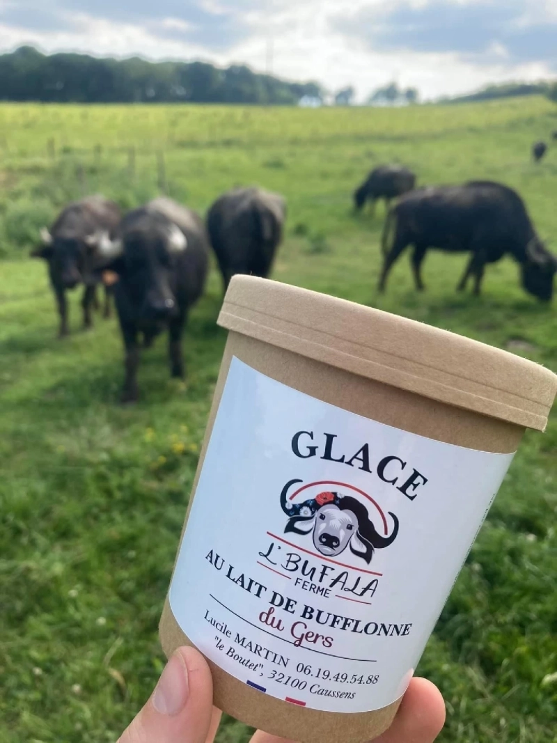 Glaces