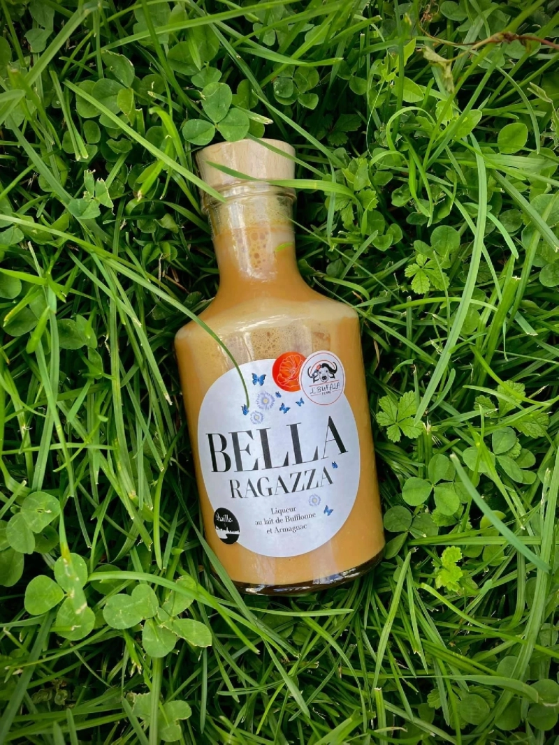 Liqueur lait de bufflone à l'armagnac